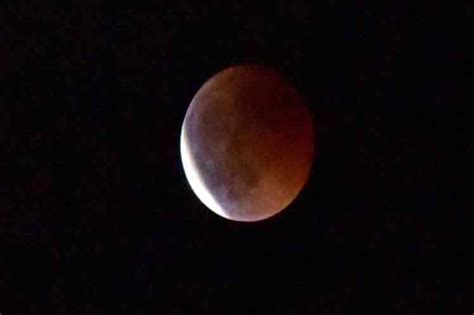 Superluna sangre de lobo se podrá apreciar durante la madrugada Eventos