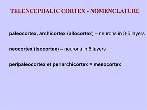 Paleocortex, Archicortex (Allocortex) – Neurons in 3-5 Layers Neocortex ...