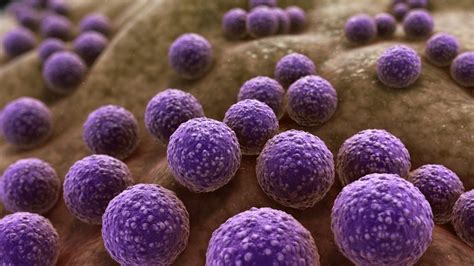 The Rise Of The Superbugs The Global Threat Of Antimicrobial