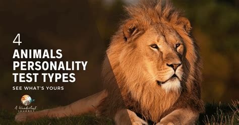 4 Animals Personality Test Types See Whats Yours Sandra Campillo