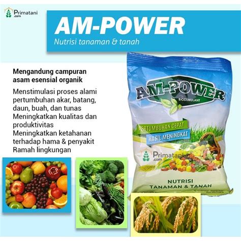 Jual Nutrisi Tanaman Lengkap Am Power Kemasan 50 Gram Shopee Indonesia