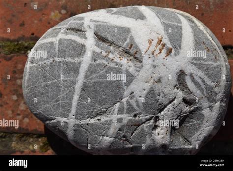 Quartz Veins Hi Res Stock Photography And Images Alamy