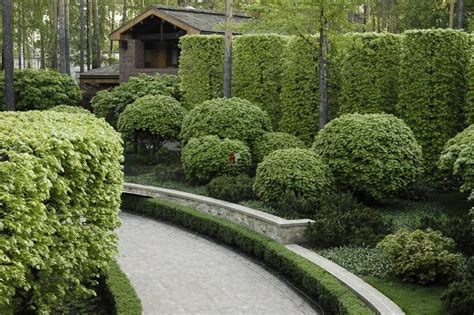 Какими бывают живые изгороди? | Дизайн сада, Живая изгородь, Ландшафт