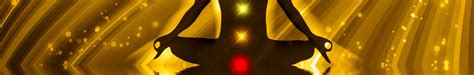 Quantum World Vision Quex Ed Biofeedback Programs
