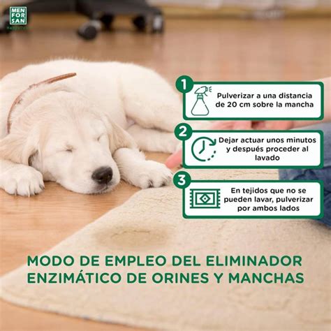 Limpiador Enzim Tico De Orines De Perros Y Gatos Birdgard Iberia