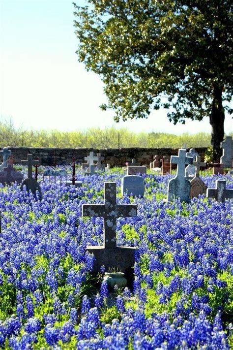 Pin By Deborah Westgate On Cemeteries Cemetery Old Cemeteries