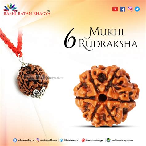 Buy Mukhi Rudraksha Best Price Online At Rashi Ratan Bagya Mukhi