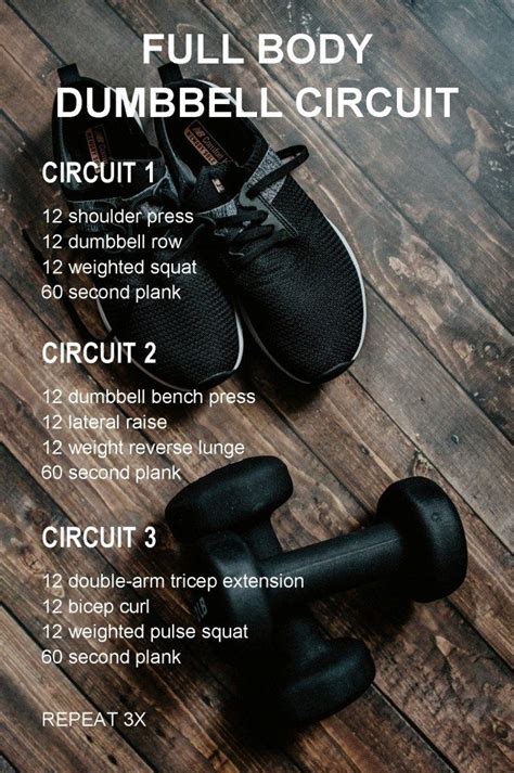 Full Body Dumbbell Workout Experiments In Wellness