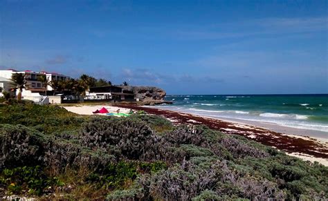 Kitesurfing in Silver Sands, Silver Sands, Barbados - Kite Jungle