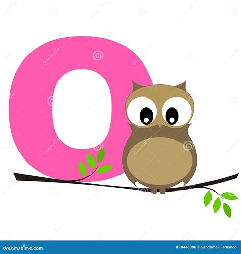 Animal Alphabet O Stock Vector Illustration Of Forest 8448306