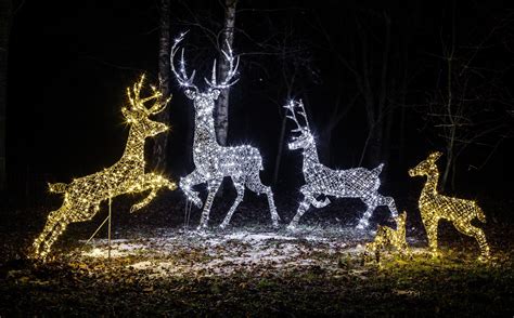 Noma Christmas