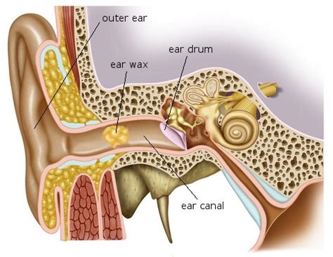 Ear Wax Impaction - Ear Clean Clinic