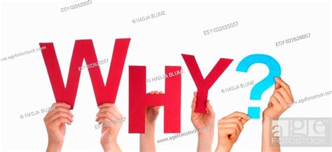 Hands Holding Red Why Stock Photo Picture And Low Budget Royalty Free
