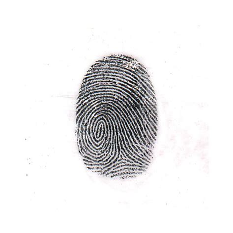 Regular Black Magnetic Fingerprint Powder Magnetic Powders