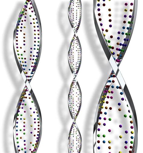 Теломеры | Статьи компании Bio Peptides