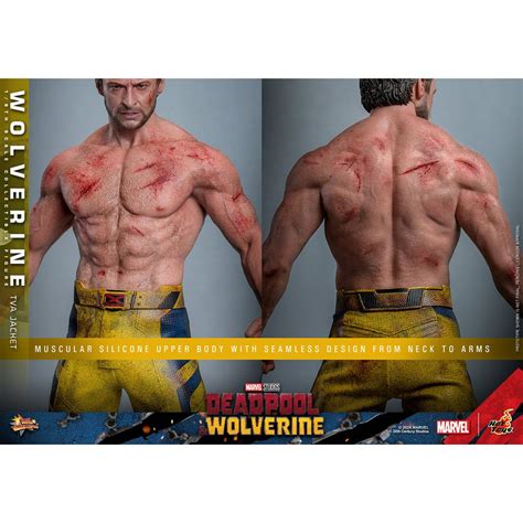 Hot Toys Marvel Deadpool Wolverine Wolverine Tva Jacket Version Mms Figurine