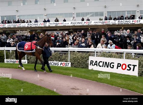 Horse Racing - Kempton Park - Racing Post Chase Day Stock Photo - Alamy