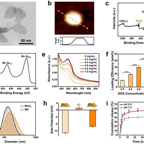 Characterization Of MnO 2 Nanosheet And MD A TEM And B AFM Image