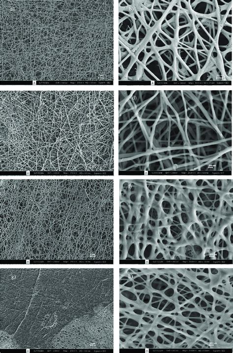 FE SEM Images Of Electrospun SF PVA Blended Nanofiber At Different