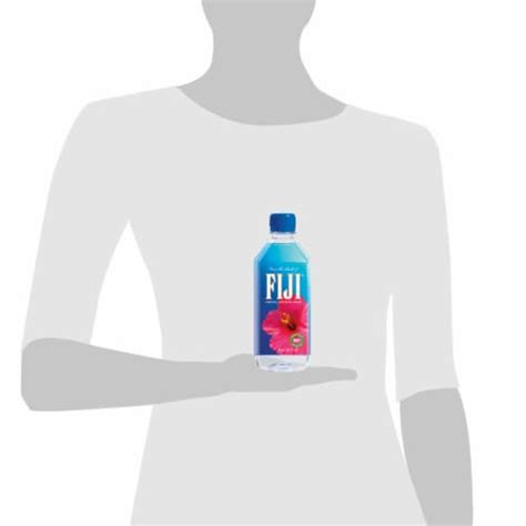 FIJI Natural Artesian Water 16 9 Fl Oz Frys Food Stores