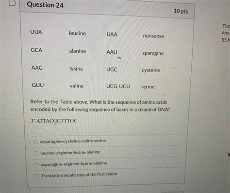 Solved Question 24 10 Pts Uua Leucine Uaa Tim Attes 55