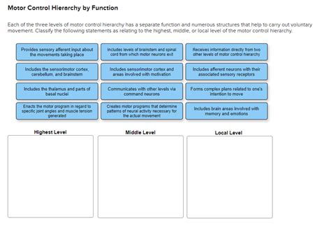 Make A Diagram Of The Hierarchy Of Motor Control Control Cir