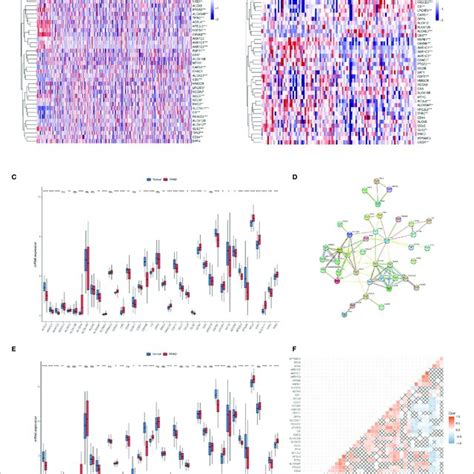 The Landscape Of Ferroptosis Related Genes Frg In Prostate Cancer Download Scientific