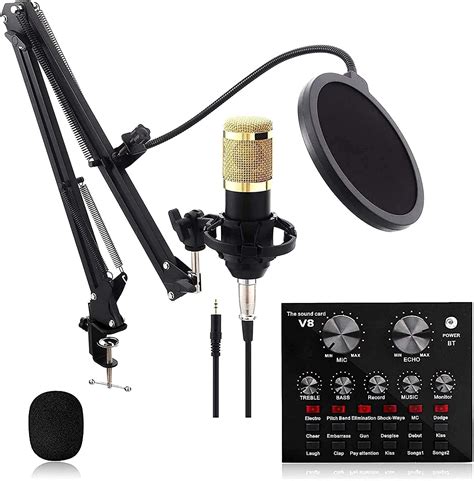 Ensemble De Microphone Condensateur Professionnel Avec Bras Et