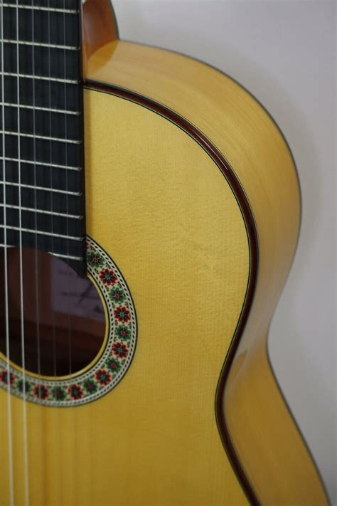 Flamenco Gitarre Juan Montes Cocobolo Especial