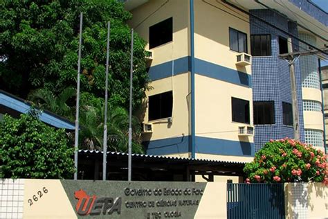 Ppgtec Da Uepa Recebe Inscri Es Para Mestrado Acad Mico Ag Ncia Par