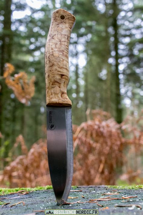 Casstr M No Swedish Forest Knife Curly Birch Sleipner