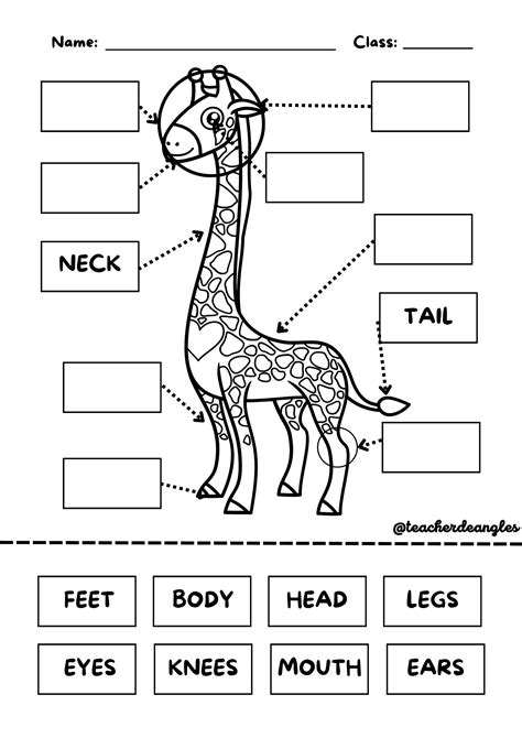 Profes Papel Tijera Giraffes Can T Dance Unit Worksheet