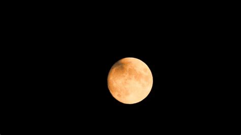 Cedar Amateur Astronomers Holds Event To Celebrate International