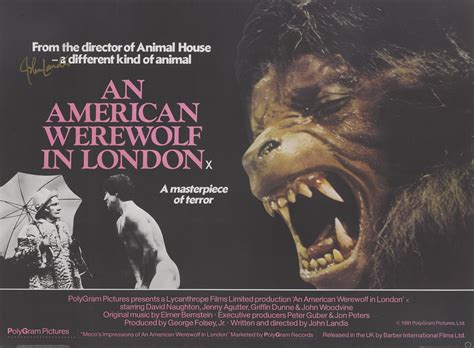 An AMERICAN WEREWOLF In London (2) Movie Poster Laminated Print | lupon ...