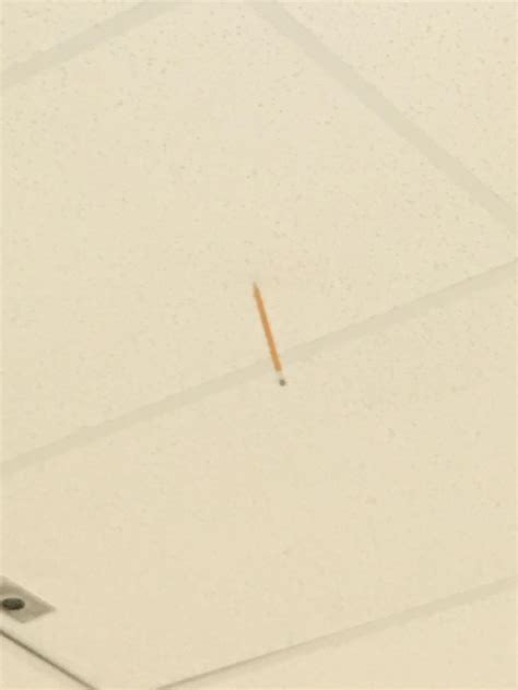 A Pencil Got Stuck In The Ceiling Of My Science Classroom R