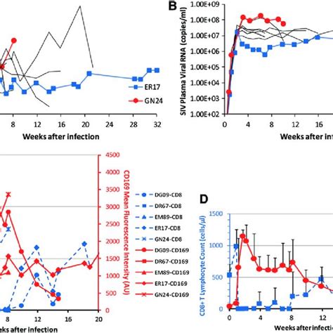 Expression Of Cd169 On Monocytes After Cd8 Lymphocyte Depletion