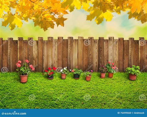 Autumn Background At Backyard Stock Photo Image Of Terrace Fall