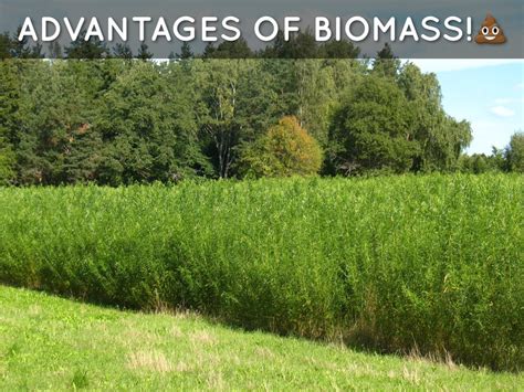 Debating Advantages Of Biomass!! by Claire King