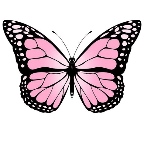 Pin De Alis Tm En Aesthetic Como Dibujar Mariposas Flores Fáciles