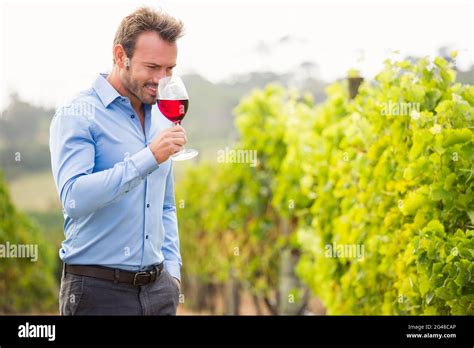 Man Smelling Red Wine Stock Photo Alamy