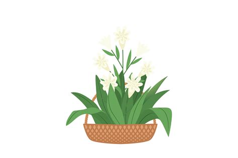 Spring Basket Flower 18 Vector Icon Graphic By Raysaozora · Creative