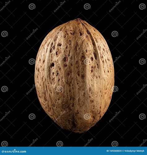 Macro Shot of Seed on Isolated Black Background, Close-up Stock Photo ... 
