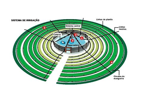 Constru O De Horta Mandala Uma Alternativa Sustent Vel Para A