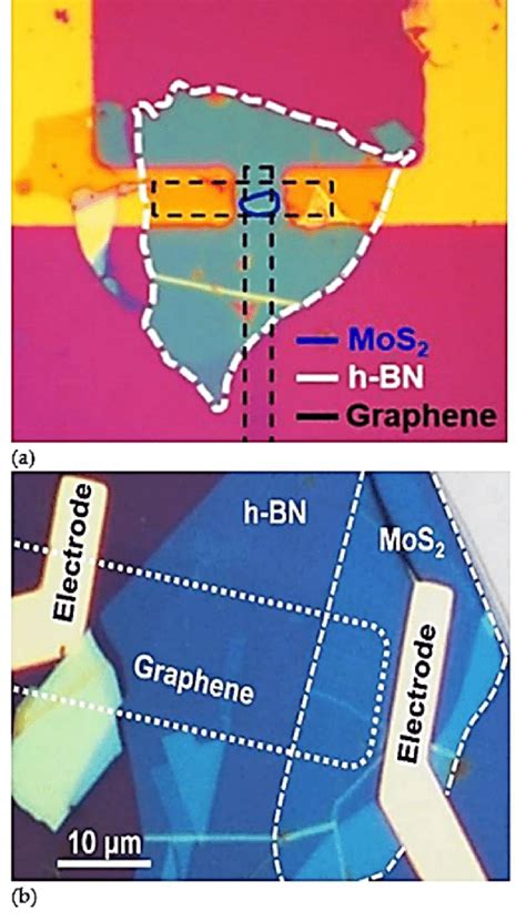 Optical Images Of Mos2h Bngraphene Heterostructures A Lateral