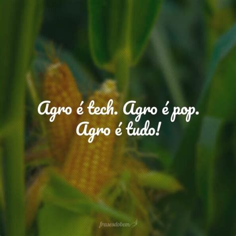 Frases De Agronomia Que Mostram A Import Ncia Dessa Profiss O