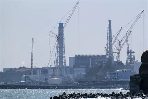 Japon Le Rejet En Mer De L Eau De Fukushima Devrait Commencer Cette