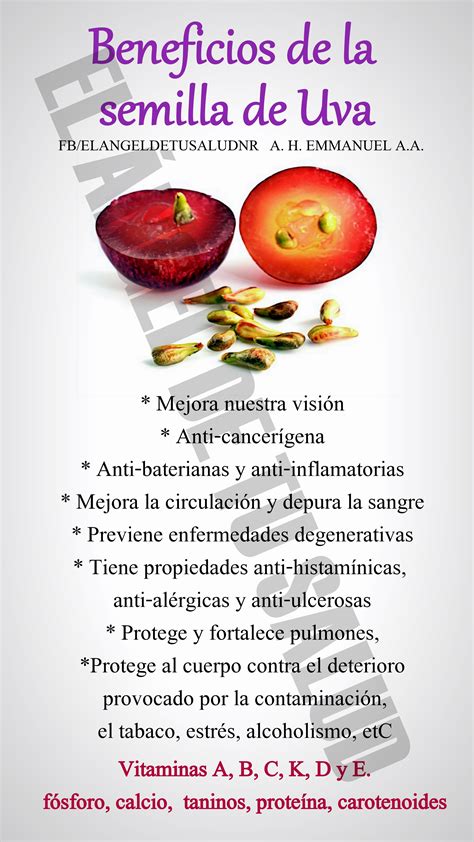 Introducir 87 Images Beneficios De La Semilla De Manzana Viaterra Mx