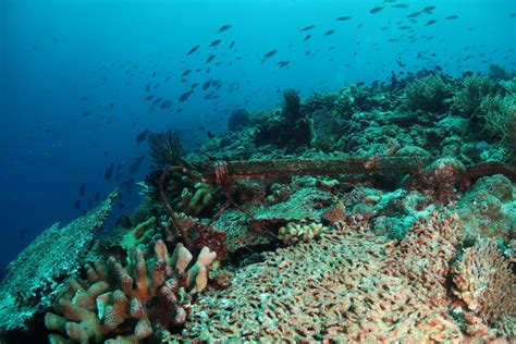 Fenomena Penemuan Gunung Bawah Laut Di Pacitan Setinggi 2300 Meter