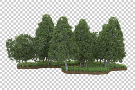 Page 9 Arbres Forestiers PSD 2 000 modèles PSD gratuits de haute