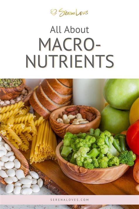 What Are Macronutrients? Everything You Need To Know! - Serena Loves | Macronutrients, Healthy ...